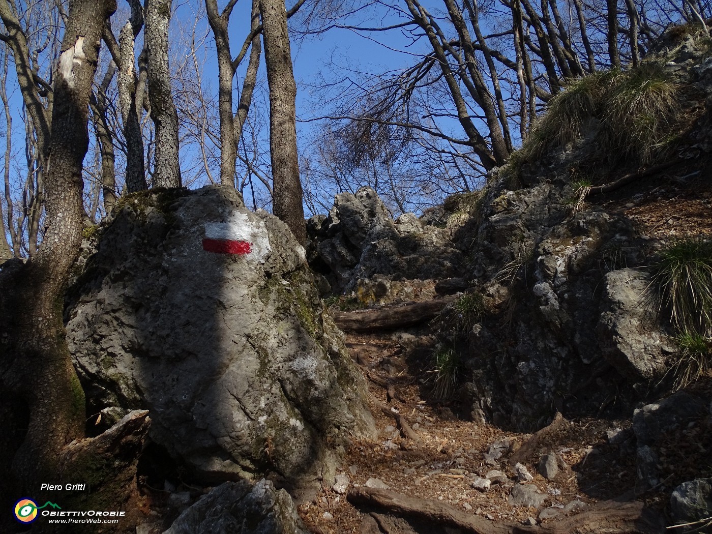 50 In decisa salita per il Monte Zucco.JPG